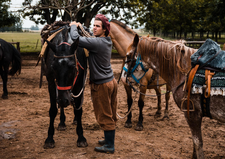 Estancia and Gaucho Experiences from Buenos Aires